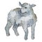 Lamb farm animal isolated. Watercolor background illustration set. Isolated sheep illustration element.