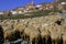 Lamb herd, sheep, gout flock Spanish village