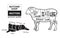 Lamb or mutton cuts diagram. Butcher shop.