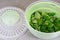 Lamb`s lettuce in a salad spinner