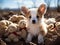 Lamb shepherd guards teddy bear group