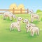 Lambs on The Farm