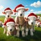 lambs in the grassy meadow wearing santa hats