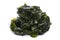 Laminaria Kelp Seaweed