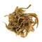 Laminaria (Kelp) Seaweed on White Background