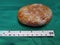Laminated Urinary Bladder Stone extracted via Open Vesicolithotomy