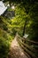 Lammerklamm gorge, Austria