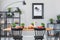 Lamp above black chairs and wooden table with food in grey dining room interior with poster