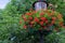 Lamp with hanging flower baskets