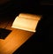 Lamp illuminating a book on wooden table