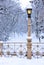 Lamp post covered by snow in park