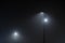 Lamp post in fog. Street light`s beam in foggy night.