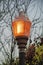 Lamp post in the late evening sun with visible light and stick and twig background in the depths of winder with cloudy