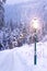 Lamp Post in Winter