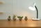 lamp, succulent cactus plant in pot decorating on wooden desk ne