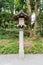 Lamp in tample ,Japan