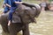 LAMPANG, THAILAND - DECEMBER 7, 2018 : Tourist Thailand, Activities elephant bathing