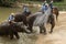 LAMPANG, THAILAND - DECEMBER 7, 2018 : Tourist Thailand, Activities elephant bathing