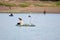 Lampang, Thailand - July 28, 2019 Fishermen can`t fish because of drought. at Land with dry and cracked ground because dryness glo