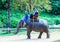 Lampang, Thailand - November 26, 2017: Mahout and tourist ride o