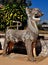 Lampang, Thailand: Thai Temple Carved Animal Statue