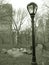 Lampost in central park, nyc