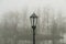 A lamppost behind a blurry forest