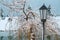 A lamppost behind a snow covered willow