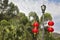 The  lamppost decorated by beautiful red lanterns in the Chinese style