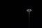 Lamppost in the pitch-black night