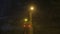 Lamppost shines at night in winter in heavy snow