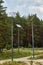 lamppost with a solar battery on a forest path.