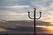 Lamppost and sunset sky