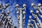 Lampposts under blue sky, Los Angeles museums of art