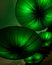 Lamps as green lotus form