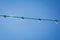 Lamps in series with the blue sky background . Green electric bulb on a wire with blue sky in background . Street electric garland