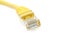 LAN cable closeup detail object isolated