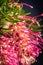 Lana Maree Grevillea Flower, Romsey, Victoria, Australia, January 2021