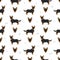 Lancashire Heeler seamless pattern.  Different poses, coat colors set