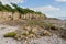 The Lancashire Way at Silverdale