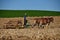 Lancaster County, PA: Amish Farmer Tilling Field