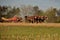 Lancaster County, PA: Amish Woman with Horse Team