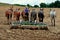 Lancaster County, PA: Amish Youth Plowing Field