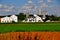 Lancaster County, PA: Pristine Amish Farm