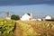 Lancaster County Tobacco Farm