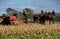 Lancaster, PA: Amish Farmer with Donkeys