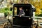 Lancaster, PA: Little Girl in Amish Buggy