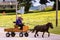 Lancaster, PA / USA - 7/4/2013: Amish kids riding a retro carriage on the street