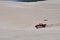 Lancelin Sand Dunes with Dune Buggy in Western Australia