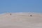 Lancelin Sand Dunes Recreation in Western Australia